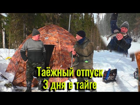 Видео: Таёжный отпуск. 3 дня в тайге. В поиске хариуса. Рыбалка, быт, отдых. Март 2025.
