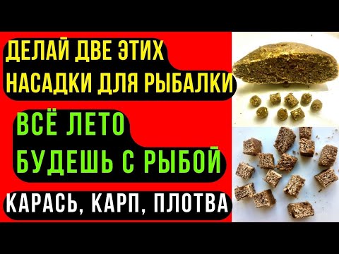 Видео: Две насадки для рыбалки на КАРАСЯ, КАРПА, ЛЕЩА. Обеспечат рыбой всё лето.