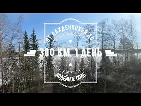 Видео: Вокруг Ладоги на велосипеде, 1й день, 160 км от Лахденпохья до г. Салми