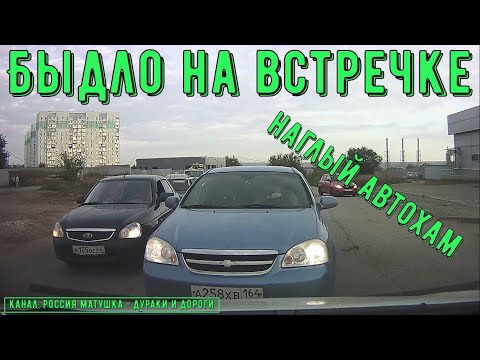 Видео: Быдло на встречке #175! Подборка на видеорегистратор!