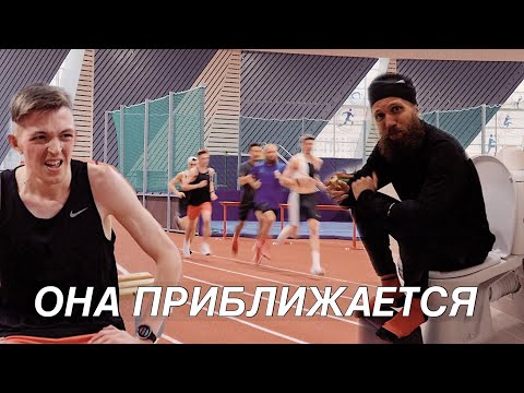 Видео: Нужны горы — идите в бизнес. Возня в питерском филиале trunnercamp