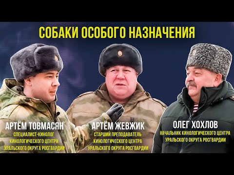 Видео: В Тюмени готовят служебных собак для спецслужб всей страны