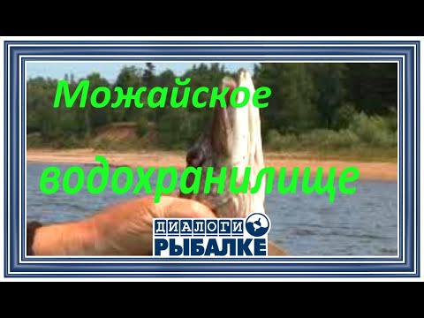 Видео: Диалоги о рыбалке - 047/ Кружки. Можайское водохранилище