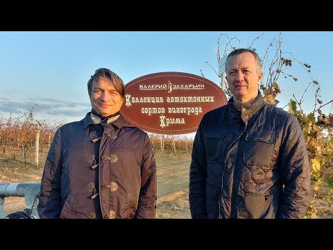 Видео: Валерий Захарьин: винодел и его правила