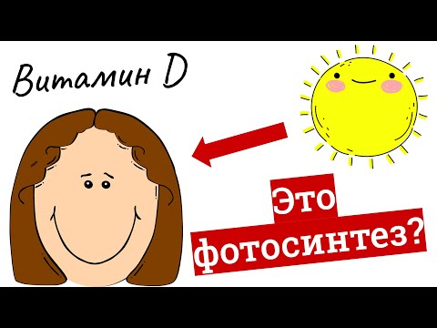 Видео: Люди способны к фотосинтезу? – выработка витамина Д в коже человека