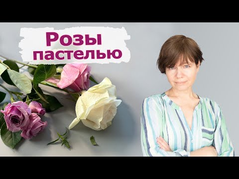 Видео: Розы пастелью.