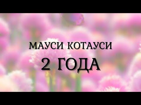 Видео: Мауси Котауси 2 года!