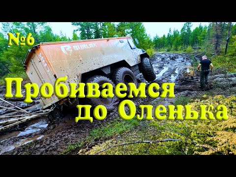 Видео: Продираемся по зимнику летом на снегоболотоходах до Оленька.