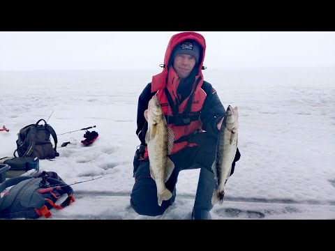 Видео: БЕЗ ТЮЛЬКИ! ДЕДОВСКИЙ способ Ловли СУДАКА на течении