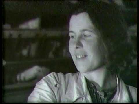 Видео: Киножурнал Советская Карелия 1957 Август
