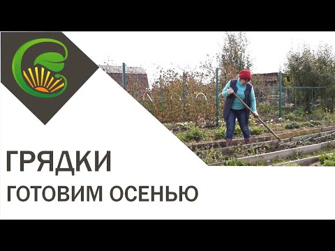 Видео: Готовим грядки осенью