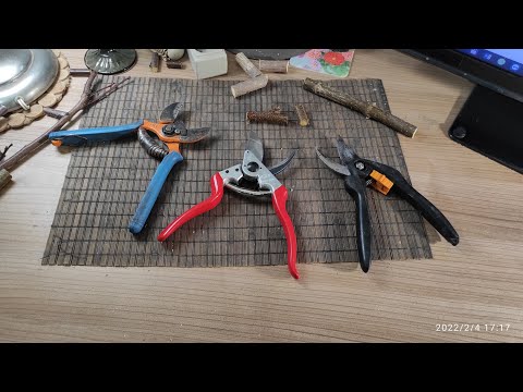 Видео: Придбав сікатор Felco 8.Огляд та порівняння з Due Buoi DB 132/20