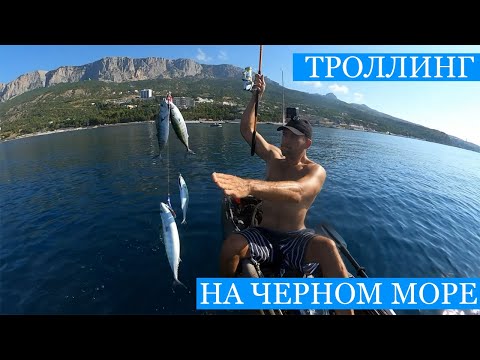 Видео: ТРОЛЛИНГ с каяка на Чёрном море! - Ловлю пеламиду, готовлю сашими, навещаю Планчика на новом месте!)