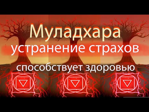 Видео: Муладхара корневая чакра, устранение страхов, способствует здоровью