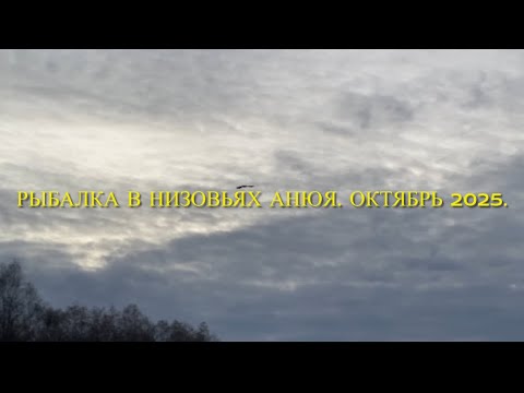 Видео: Рыбалка в низовьях Анюя. Октябрь 2025 г.