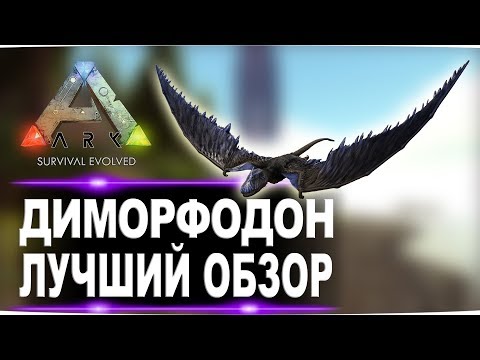 Видео: Диморфодон Dimorphodon в АРК  Лучший обзор приручение, разведение и способности  в ark