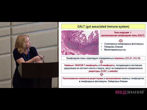 Видео: 04 Иммунная система ЖКТ: особенности становления и функционирования
