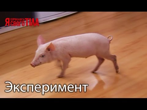 Видео: Эксперимент ОКР (обсессивно-компульсивное расстройство). Часть 5