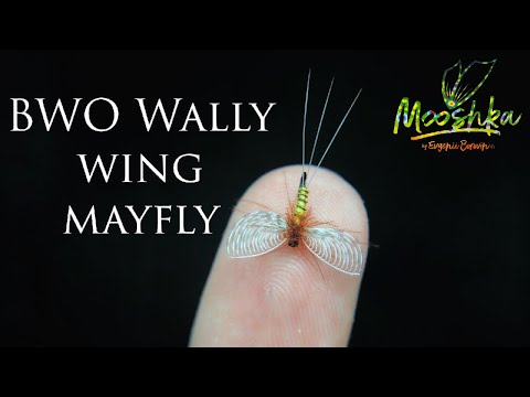 Видео: BWO Wally Wing Mayfly/ Подёнка с крылом Wally Wing