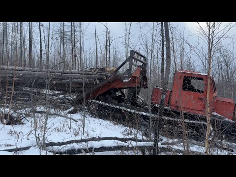 Видео: Заготовка дров на тракторе ТТ-4