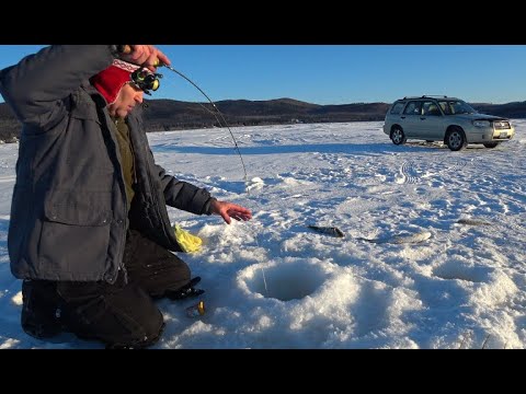 Видео: Как ловится рыба на Аляске, когда очень холодно? Шикарный выезд  на рыбалку.