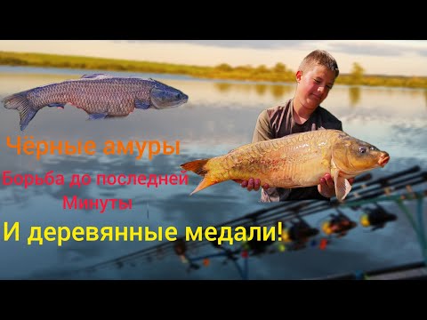 Видео: Турнир для новичков! Борьба до самого финиша, классная ловля и черныши!🔥
