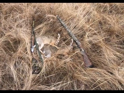 Видео: !!! Новинка  Открытие 1