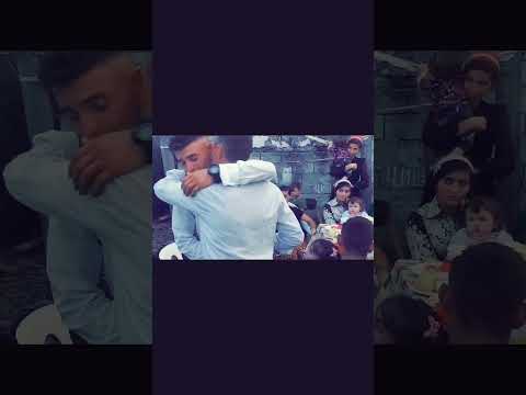 Видео: богар сегоднья