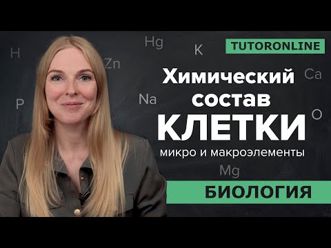 Видео: Химический состав клетки: макро и микроэлементы. Биология 9 класс | TutorOnline