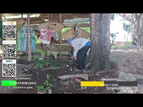 Видео: Фаранг в пахоте с утра