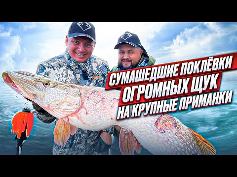 Видео: ШОК❗️ЗДОРОВЕННАЯ ЩУКА ЛОМАЕТ СПИННИНГ