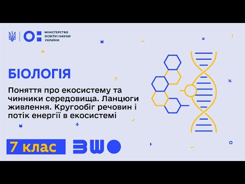 Видео: 7 клас. Біологія. Поняття про екосистему та чинники середовища. Ланцюги живлення