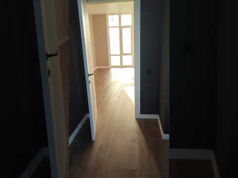 Видео: 23 марта 2025 г.