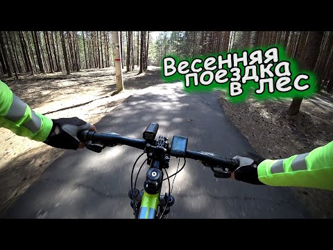 Видео: РЕКА КАМА ➡ ЛЫЖЕРОЛЛЕРНАЯ ТРАССА В СТУДГОРОДКЕ / КОФЕ И БУТЕРБРОД НА СВЕЖЕМ ВОЗДУХЕ