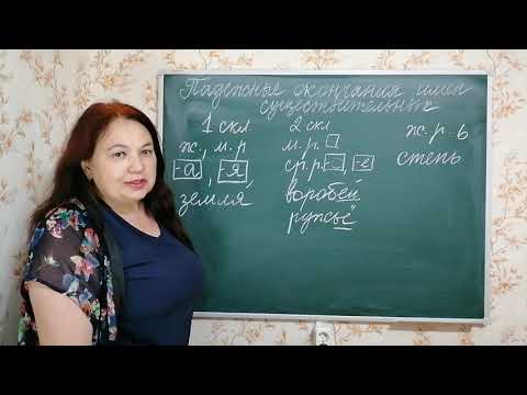 Видео: Склонение имен существительных. Часть 1.