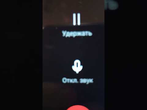 Видео: Мошенник Алексей заволновался когда узнал, что придет ПЧЕЛОВОД.