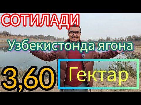 Видео: БУНАКАСИ ЙУК 3,60-ГЕКТАР ФЕРМА + БАЛИК КУЛИ БИЛАН ТЕЗДА СОТИЛАДИ.