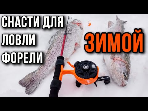 Видео: Снасти для ловли прудовой форели зимой, для начинающих.