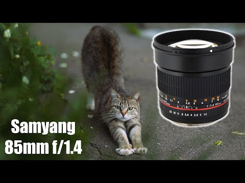 Видео: Cтрим #124: продал кучу объективов, думаю над SAMYANG 85mm f/1.4. Обсудим 600D vs 50D и кроп vs ФФ.