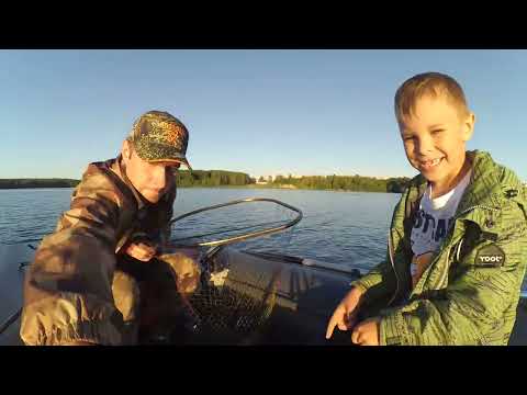 Видео: Ловля карпа и амура на Десногорском вдхр