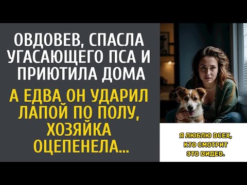 Видео: Овдовев, спасла угасающего пса и приютила дома… А едва он ударил лапой по полу…