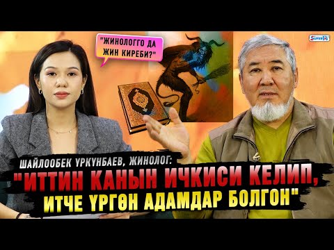 Видео: "Иттин канын ичкиси келип, итче үргөн адамдар болгон" дейт жинолог