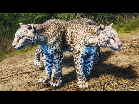 Видео: Симулятор ЖИВОТНЫХ #2 Леопард Близнец. Artemishea с Кидом на ПУРУМЧАТА