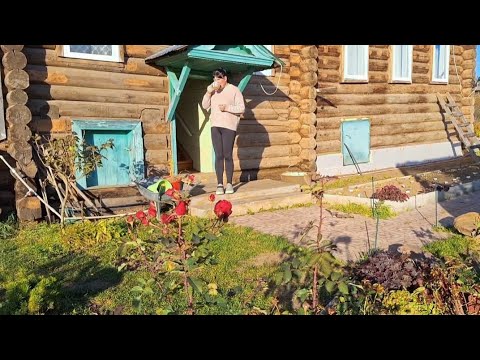 Видео: ДЕРЕВЕНСКИЙ 🏠ДОМ/ПРОДОЛЖАЕМ УТЕПЛЯТЬ ДОМ К ЗИМЕ/ПОСАДИЛА ОЗИМЫЙ ЧЕСНОК И ЛУК