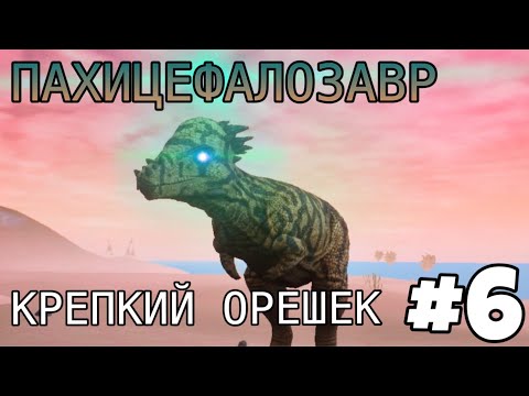 Видео: [The Cursed Isle] - Пахицефалозавр Ищет Неприятности #6