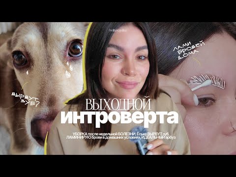 Видео: выходной интроверта // уборка, ламинирование бровей дома, идеальный день в одиночестве