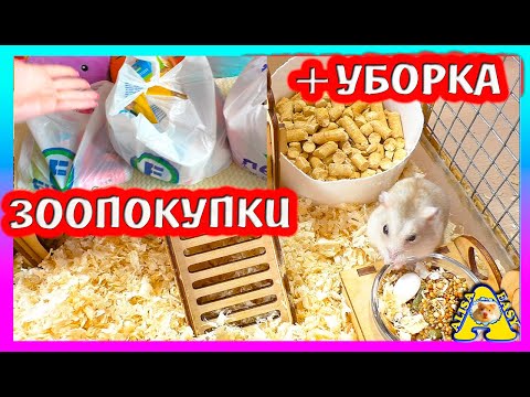 Видео: ЗООПОКУПКА ИЗ ФИКС ПРАЙС для КРЫС и ХОМЯКОВ / уборка у Микки и Кнопы / Alisa Easy Pets