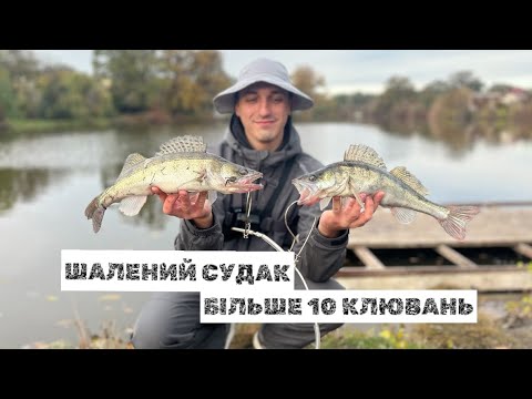 Видео: ЗНАЙШОВ ЗГРАЮ СУДАКА! ШАЛЕНІ КЛЮВАННЯ! ПОБИВ СВІЙ РЕКОД