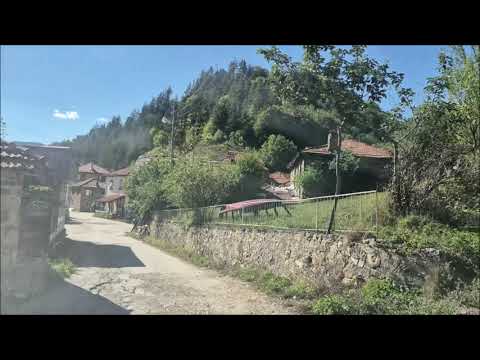 Видео: Село Бориково