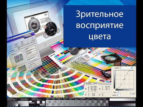 Видео: Допечатная подготовка для начинающих. Цветоведение. 2. Зрительное восприятие цвета